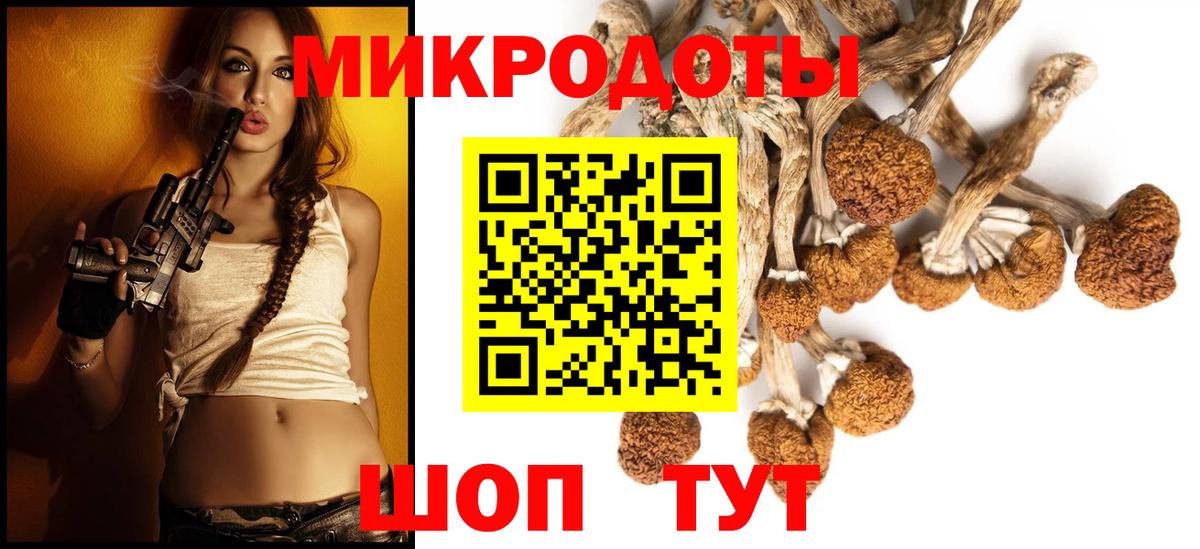 Псилоцибиновые грибы GOLDEN TEACHER Ивантеевка